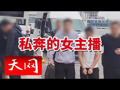 《天网》女主播带头贩毒？特大网络吸贩毒团伙被摧毁！抓获犯罪嫌疑人100余名 20240620