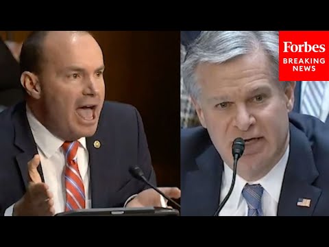 'You Have A Lot Of Gall, Sir!': Mike Lee Explodes At FBI's Wray Over Agents' Abuses