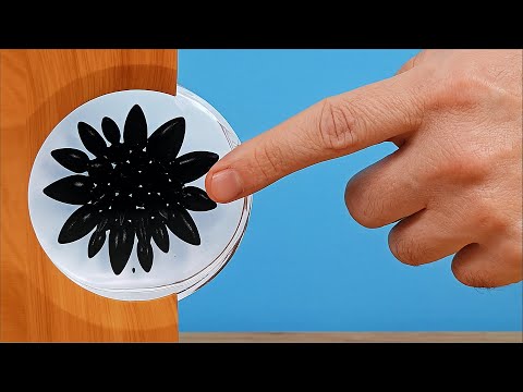 THIS IS WHAT I BOUGHT ON ALIEXPRESS