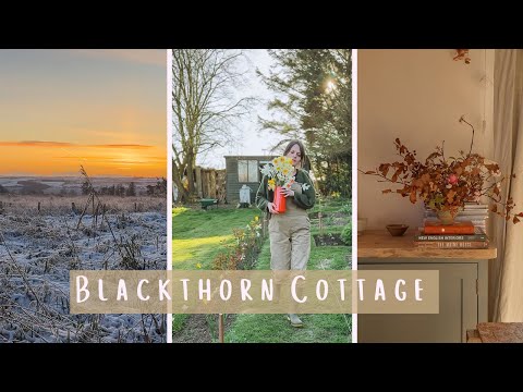 November at Blackthorn Cottage | Seasonal Arranging & Planting Narcissi Bulbs