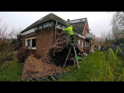 I Was WRONG in Thinking that Removing Ivy Would be EASY