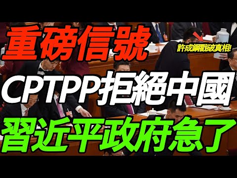 重磅信号！CPTPP拒绝中国加入！习近平政府急了！许成钢戳破真相！