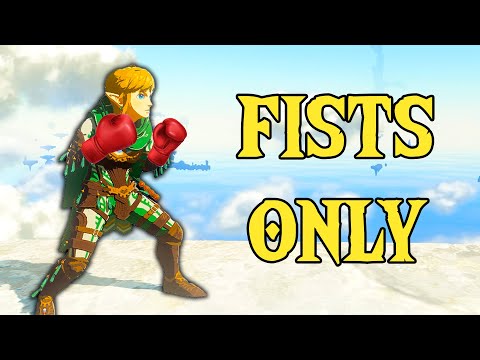 I Beat TOTK with only MY FISTS