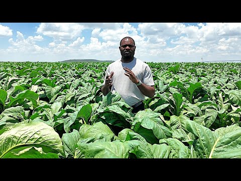 Storage Business 2026. Avoid these Agro produce