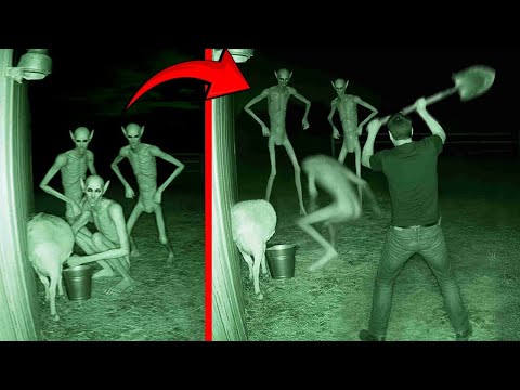 Warning: The following images may cause severe discomfort! We have compiled the most horrifying s...