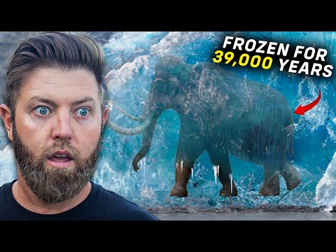5 Prehistoric Animals Found Frozen in Ice