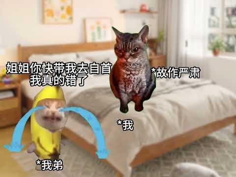 猫meme的日常-走过最长的路就是姐姐的套路  #猫meme  #猫meme小剧场 #猫meme剧场 #内容过于真实 #搞笑