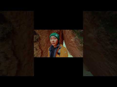 Joshua Tree through my lens