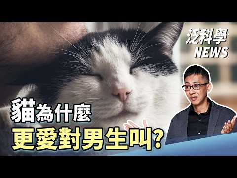 Is your cat meowing at you because you're slow to react? AI can indeed influence election results...