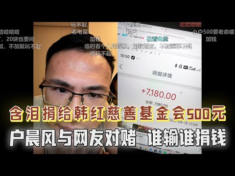 打假篇！户晨风与网友对赌，谁输谁捐款，输了含泪给韩红慈善基金会捐款500元！
