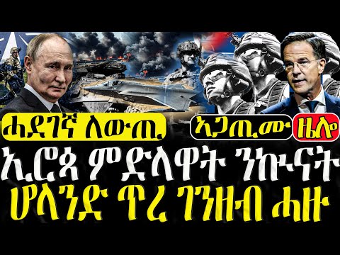 Dasna Tv | (እዋናዊ ዛዕባ) - ኢሮጳ ምድላዋት ንኲናት  - 17/12/2024