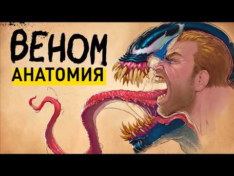 VENOM ANATOMY: All the details about Symbiotes
