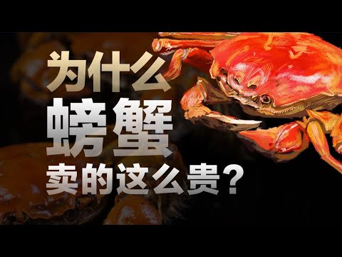 为什么螃蟹卖的这么贵？