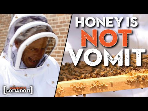 Mike Rowe Goes FIST DEEP into a GIANT BEE HIVE | Somebody's Gotta Do It
