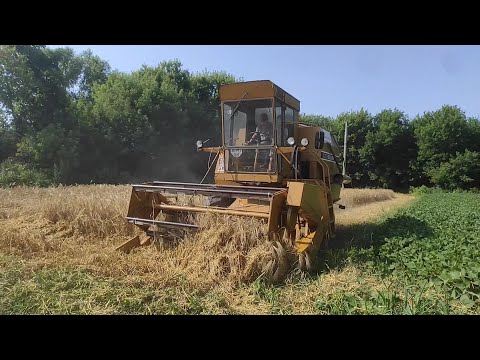 Початок жнив 2023. Сампо 500, молотимо ячмінь "9 вал". Все буде Україна 🇺🇦