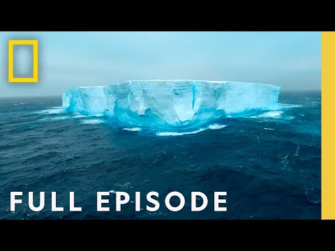 Antarctica: Home at the End of the Earth (Full Episode) | Incredible Animal Journeys