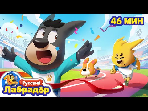 🏆Праздник спорта | Правила в детской жизни | 🔍Сборник мультиков для детей | Шериф Лабрадор