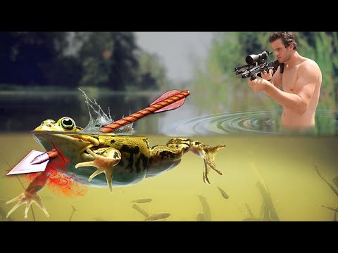 Bullfrog Hunting with Mini Crossbow!
