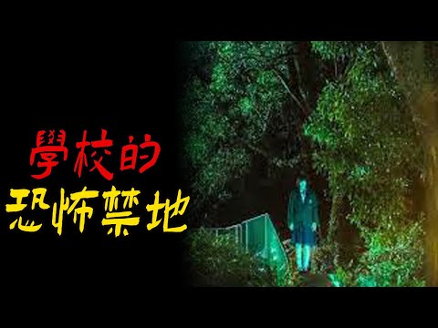 学校的恐怖禁地|国道瓜摊收冥钱|鬼故事|恐怖故事|解压故事|灵异|恐怖#都市傳說#靈異事件#解压故事#佛牌#泰国#恐怖故事#亲身经历#助眠解压#离奇事件#奇闻故事#遇鬼#灵异诡谈#恶梦#天津#北京