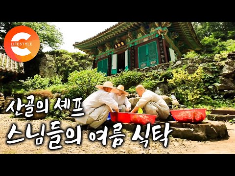 "이런 음식은 처음이예요" 자연에서 나는 평범한 재료로 어디에도 없는 요리를 만드는 스님들의 여름 식탁ㅣ산골의 셰프들ㅣ#한국기행