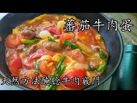 蕃茄牛肉/肉片蛋/醃軟滑牛肉竅門/兒童餐/簡單 家常/好餸飯/新手 入門/廣東話/中字/p397