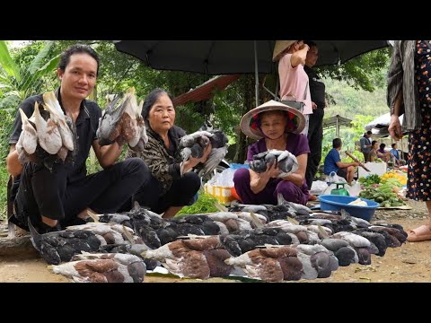 Zon reaped the rewards of raising pigs, chickens, ducks, fish, ostriches and pigeons in the forest.