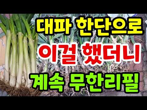 If you do this, you can keep refilling leeks indefinitely. How to grow leeks 10 times faster. How...