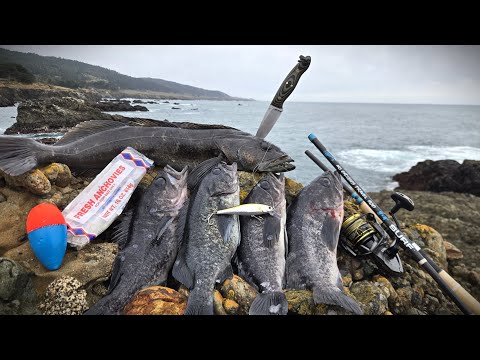 SOLO Catch and Cook - NEW Fishing Techniques to be More Successful!