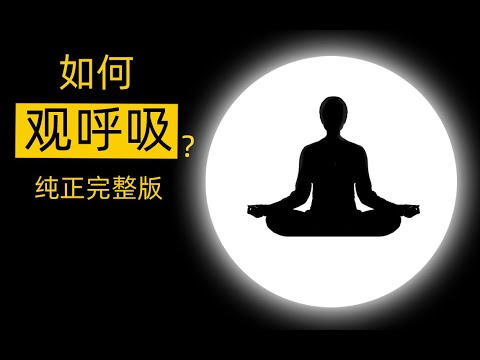 正念冥想 如何觀呼吸操作指導 安那般那 安般法 十六特勝 Mindfulness Meditation How to Breathing meditation Guide Daily buddhist