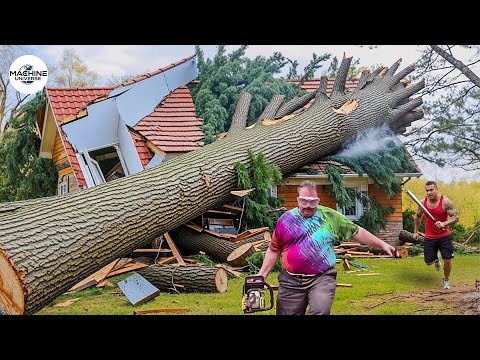 Idiots With Chainsaws: Tree Cutting Fails | Extreme Dangerous Logging Truck Fails #1