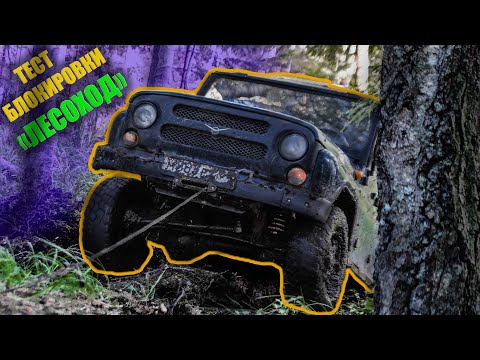 Testing the "Forest Rover" interlock on a UAZ Hunter | Staying overnight in the forest