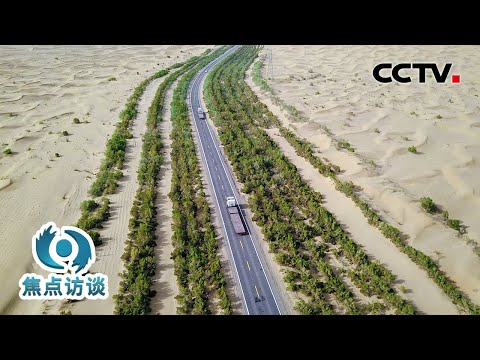 决战沙海，“锁边”进行时！这条“绿围脖”如何锁住塔克拉玛干沙漠？| CCTV「焦点访谈」20241114