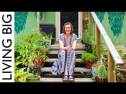 A Deceptively Simple Looking Tiny House Hides Brilliant Design!