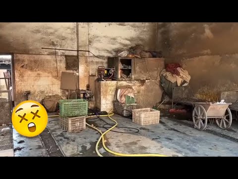 😣A Big Project! Help The Boss Clean Up The Workshop!