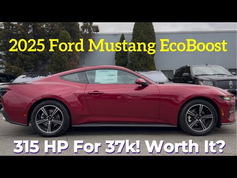 2025 Ford Mustang EcoBoost: Is Mustang vs. Elantra N The Most Unlikely Car Rivalry?