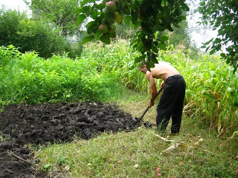 Super compost without the extra effort and expense. RADICAL GARDEN RE-DIGGING.