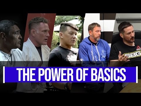 The Power of Fundamentals in BJJ | Rickson, Haueter, Akins, Thornton, Kavanagh