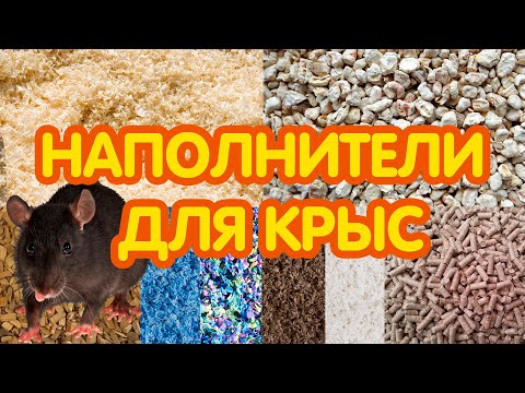 Наполнитель для крыс - какой лучше?