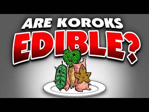 Can You EAT Koroks? (Tears of the Kingdom)