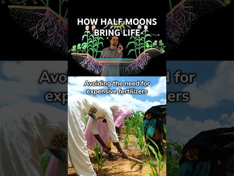 How Half Moons Bring Life