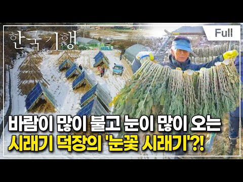 [Full] 한국기행 - 괜찮아 겨울이야 제5부 추워야 제맛이지