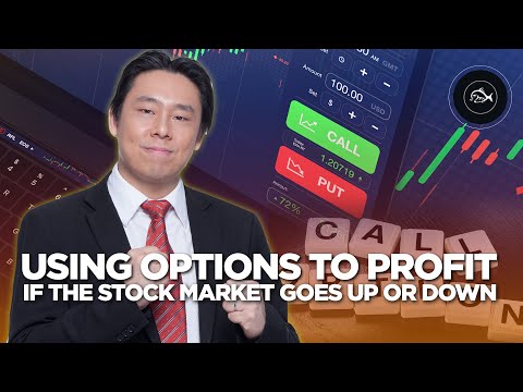 Using Options to Profit If the Stock Market Goes Up or Down