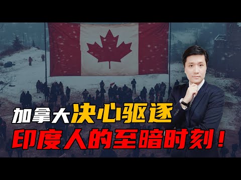印度人的至暗时刻！ | 加拿大移民 | 留学政策 | 印度人的决心 |