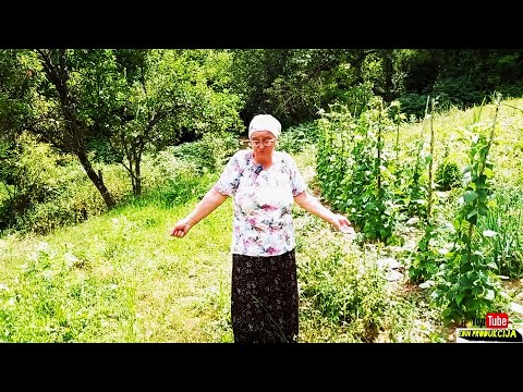 Moj muz se krio deset mjeseci u sumi pod zemljom sa petoro djece. I prezivio je a onda ga bolest uze