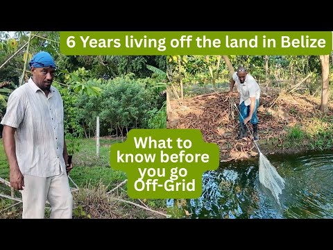 Off-Grid in Belize: 6 Years Building a Sustainable Tilapia & Food Forest Paradise