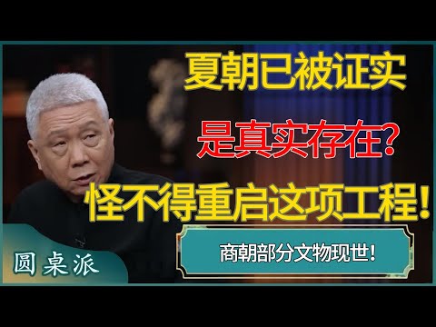 夏朝已被证实是真实存在?怪不得2025重启三星堆工程! #窦文涛 #梁文道 #马未都 #周轶君 #马家辉 #许子东 #圆桌派 #圆桌派第七季
