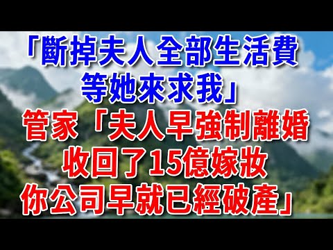 「斷掉夫人全部生活費，等她來求我」管家「夫人早申請強制離婚，收回了15億嫁妝，你公司早就已經破產」#好運年年#為人處世#生活經驗#情感故事#養老#睡前故事