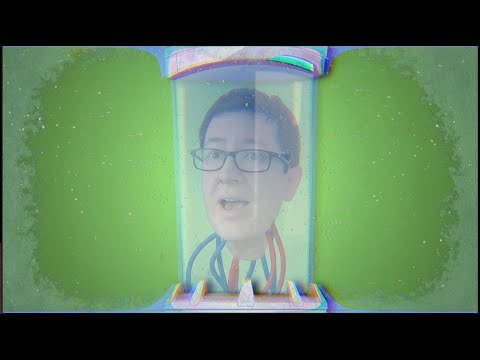 What Happened to the Head Transplant?