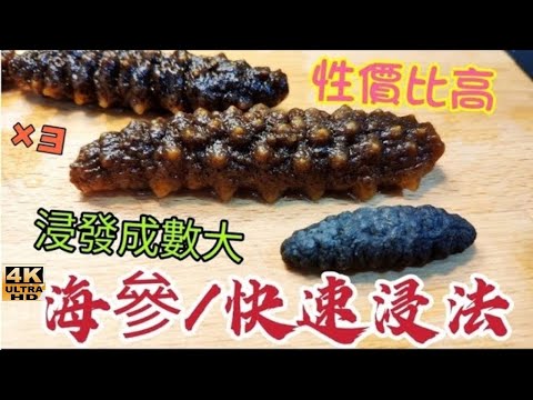 〈職人吹水〉 海參浸發/快速技巧/ ×3倍數浸發成數大/如何選購性價比高海參/ @Singsingkitchen