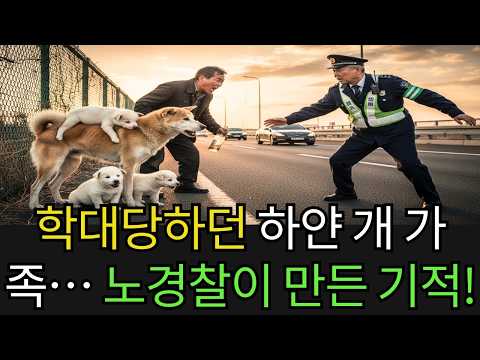 고속도로 옆에서 술 취한 남자에게 학대받던 어미 하얀 개와 새끼들… 노경찰이 다가온 순간, 기적 같은 일이 벌어졌다!